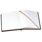 INT LIVRE D OR COLLECTIVITE