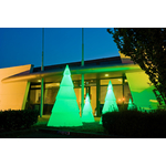 sapin vert MAIRIE