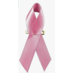 RUBAN OCTOBRE ROSE MAIRIE PAS CHER