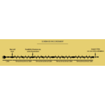SCHEMA DE RACCORDMENT GUIRLANDE ILLUMINATION MAIRIE