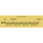 SCHEMA DE RACCORDEMENT STALACTITE ILLUMINATION MAIRIE