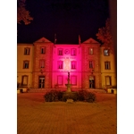 Ruban de façade Octobre Rose pas cher mairie de nuit