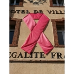 Ruban de façade Octobre Rose pas cher commune