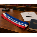 echarpe-conseil-municipal-enfant