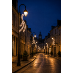 DECOR NOEL ISIDORE MAIRIE