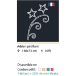 ADRIEN PETILLANT
