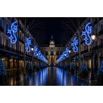 DECOR TRISTAN PETILLANT BLEU