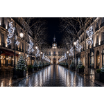 DECOR TRISTAN PETILLANT BLANC FROID