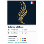 DECOR ORTANCE PETILLANT