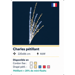 DECOR CHARLES PETILLANT