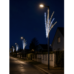 DECOR CHARLES PETILLANT MAIRIE