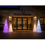 Sapins 3D devant école