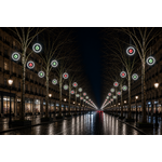 DECOR CERCLE FIXE +BOULE PAILLETE ROUGE ER VERT