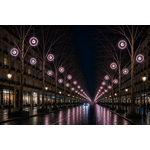 DECOR CERCLE FIXE+BOULE PAILLETE BLANC FROID ET ROSE