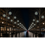 DECOR CERCLE FIXE +BOULE PAILLETE VERT