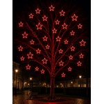 ETOILE 1CD PETILLANTE ROUGE