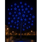 ETOILE 1CD PETILLANTE BLEUE