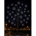 ETOILE 1CD PETILLANTE BLANCHE