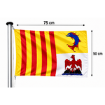 pavillon-region-province-50x75-mairie