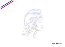Buste : Marianne - Général du Patrimoine Culturel