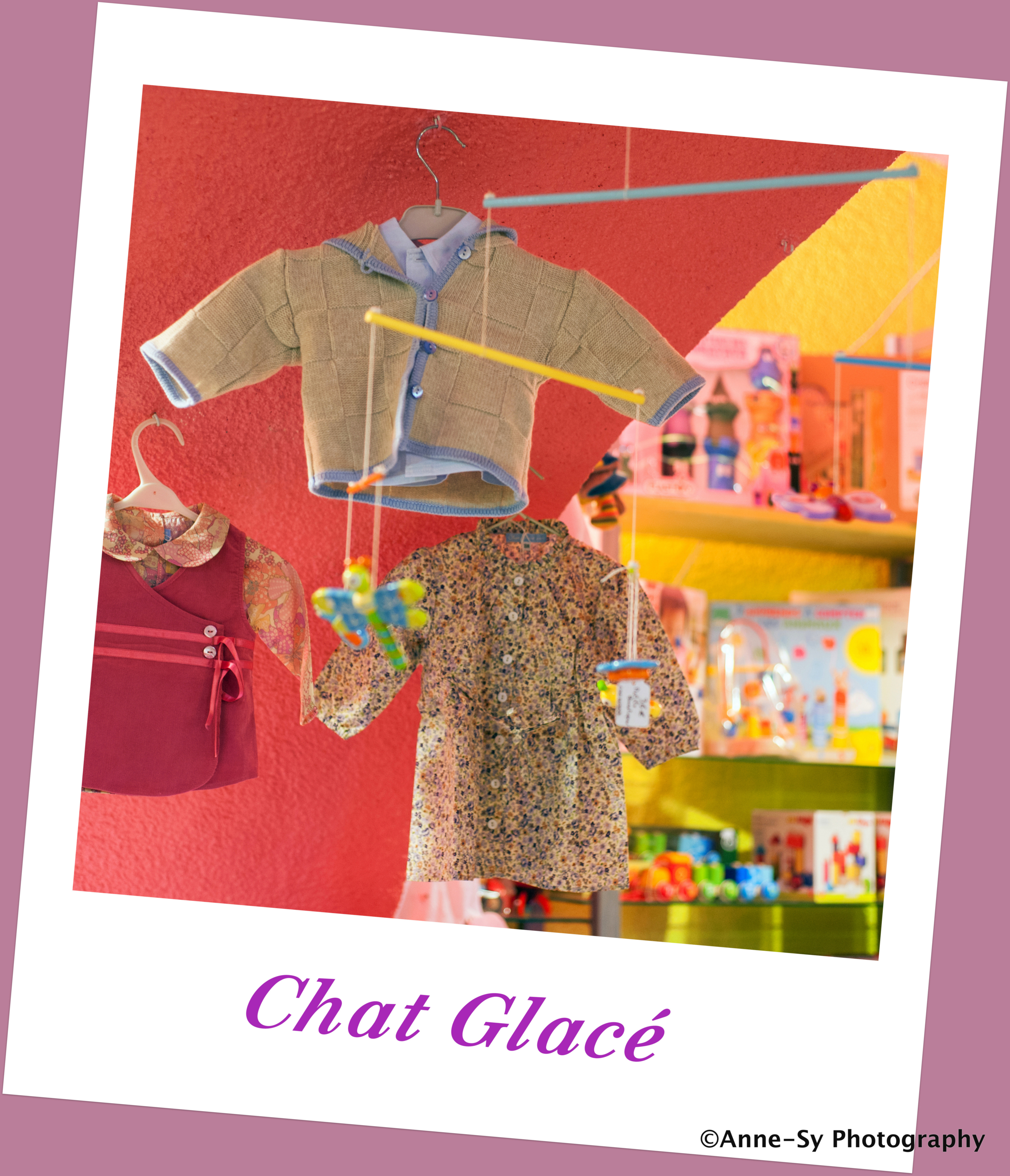 17 chat glace 1 032