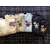 sweat bandana vintage 2