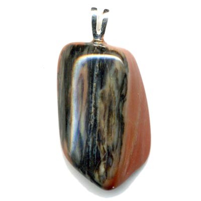 5698-pendentif-bois-fossile-extra-beliere-argent