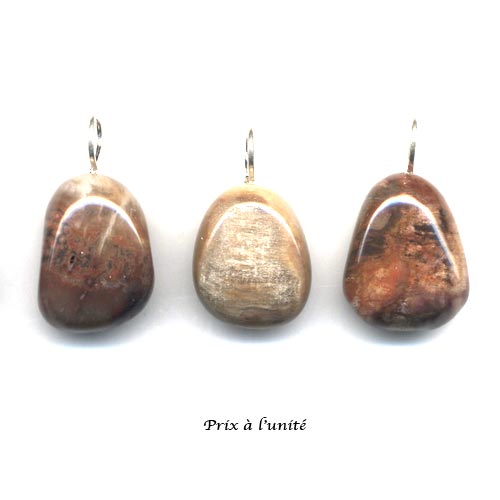 8197-pendentif-bois-fossile