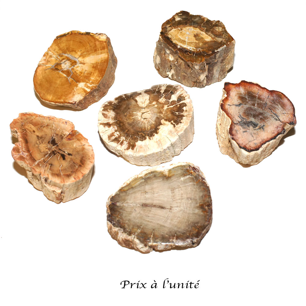Tranche-polie-Bois-fossile-bloc-entre-50-et-100g