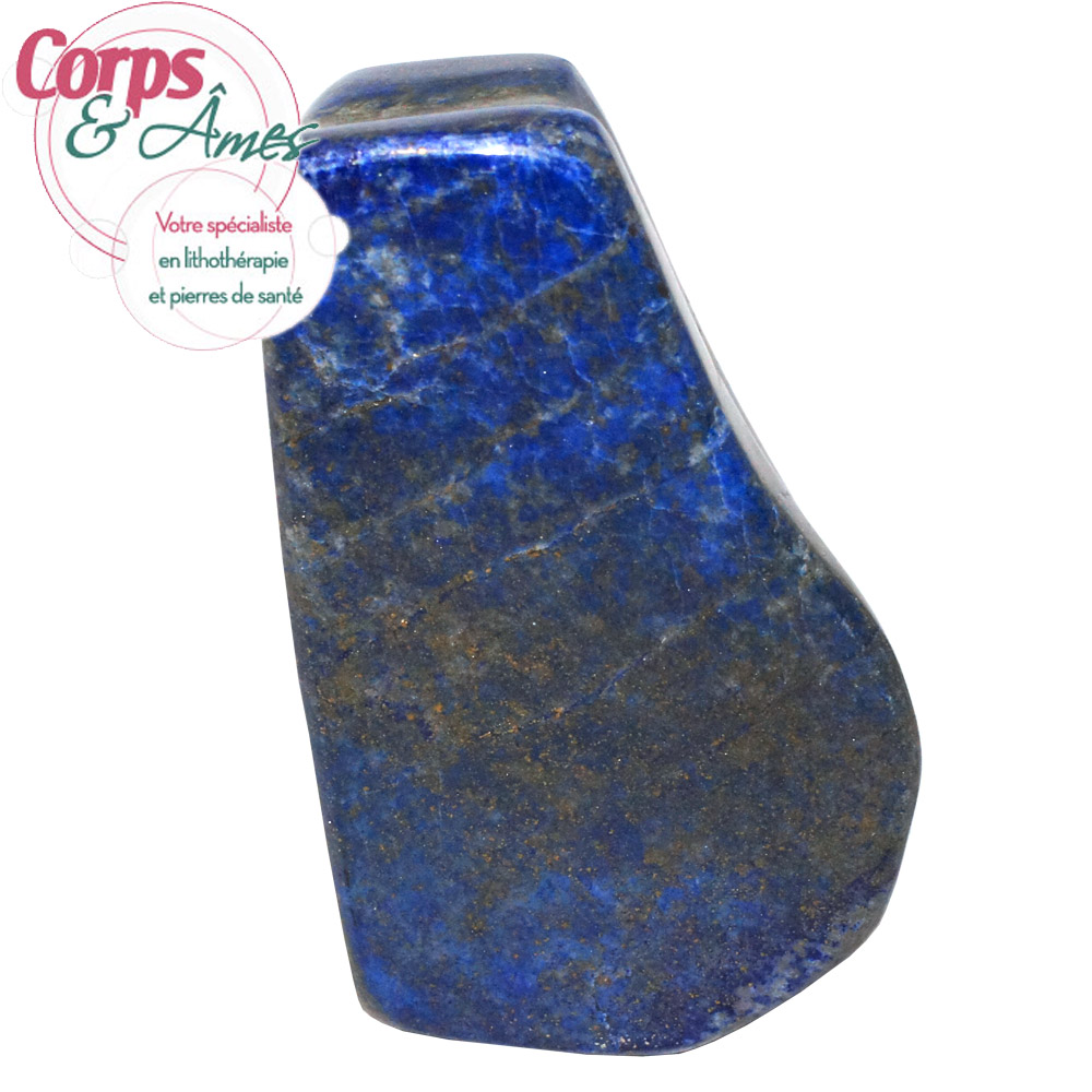 Pièce-unique-lapis-lazuli-forme-libre-382g-3