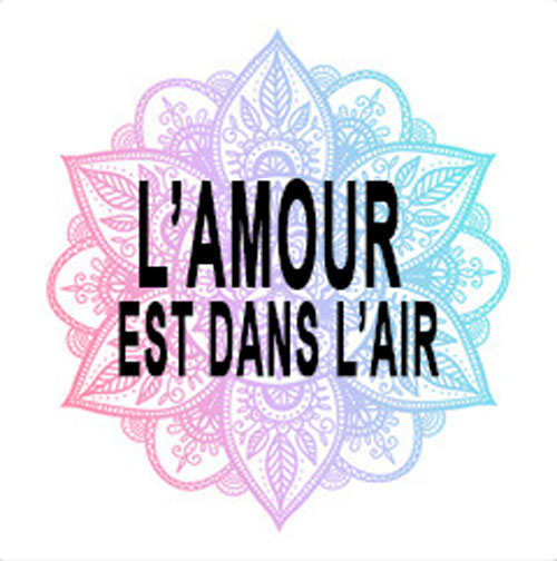 Logo-Lamour-est-dans-air