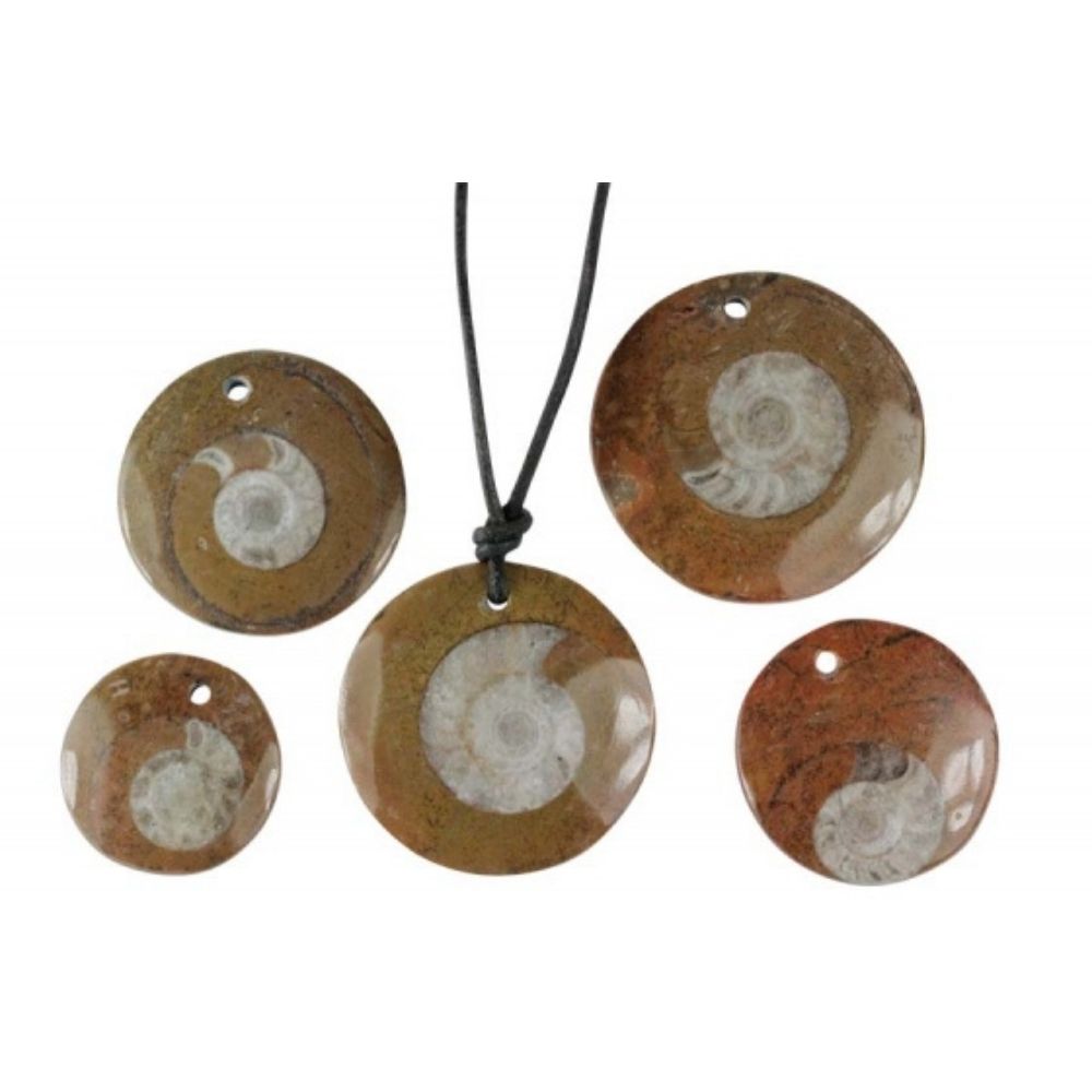 Pendentif Goniatite avec cordon - Symbole de Changement