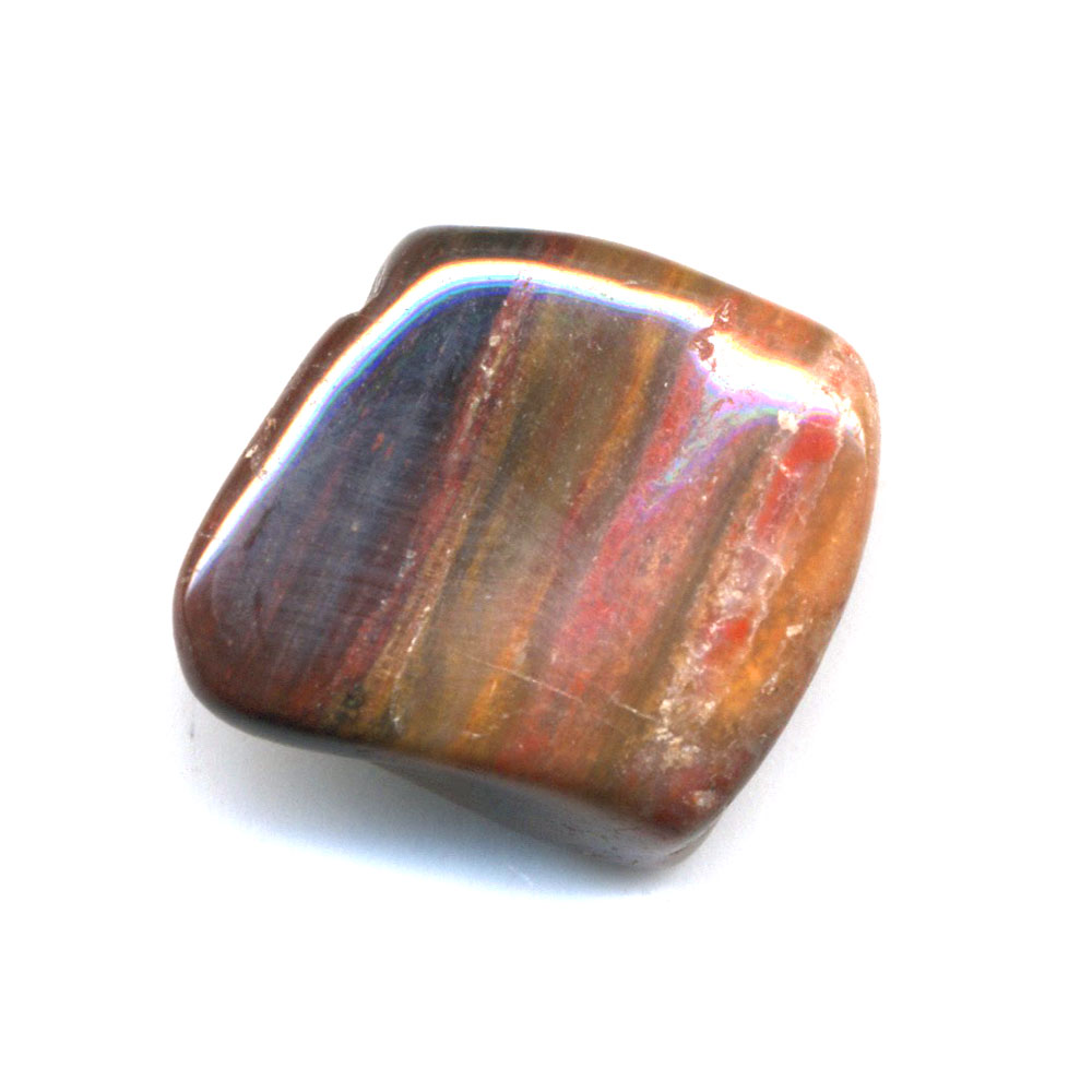 bois fossile 10 20mm
