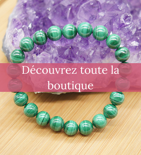 Découvrez toute la boutique