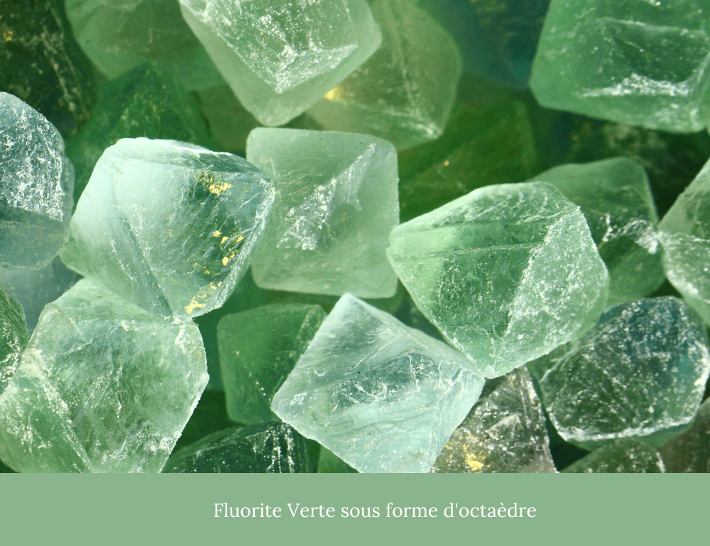 image a gauche texte a droite 1000x770 11