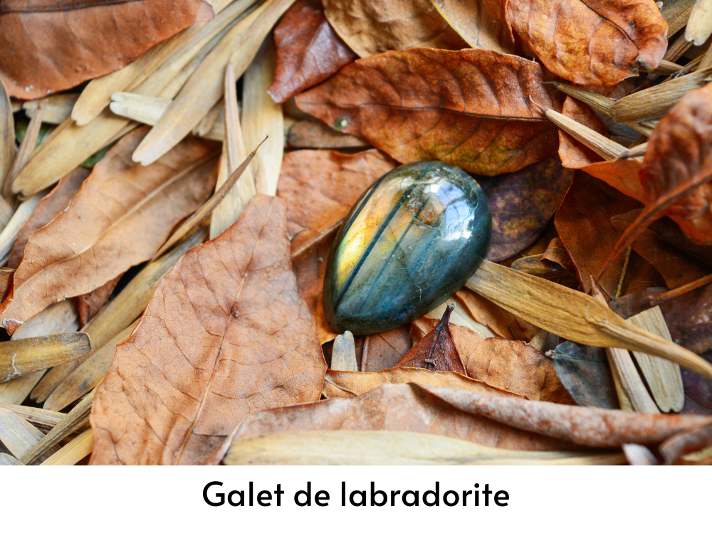 image a gauche texte a droite 1000x770 22