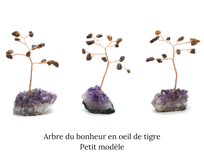 Arbre du bonheur oeil de tigre