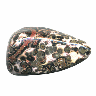 Jaspe Léopard pierre roulée de 20 à 30 mm