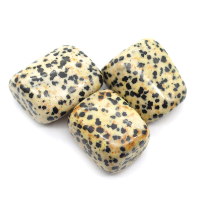 Jaspe dalmatien pierre roulée de 20 à 30 mm