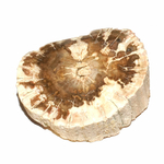 Tranche-polie-Bois-fossile-bloc-entre-50-et-100g-1