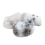 Opale-dendrite-pierre-roulée-20-à-30mm