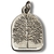 Collier amulette arbre de vie étain