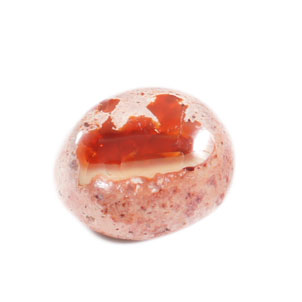 Confectionner ses bouillettes maison pour la carpe : recettes et Confectionner ses bouillettes maison pour la carpe : recettes et