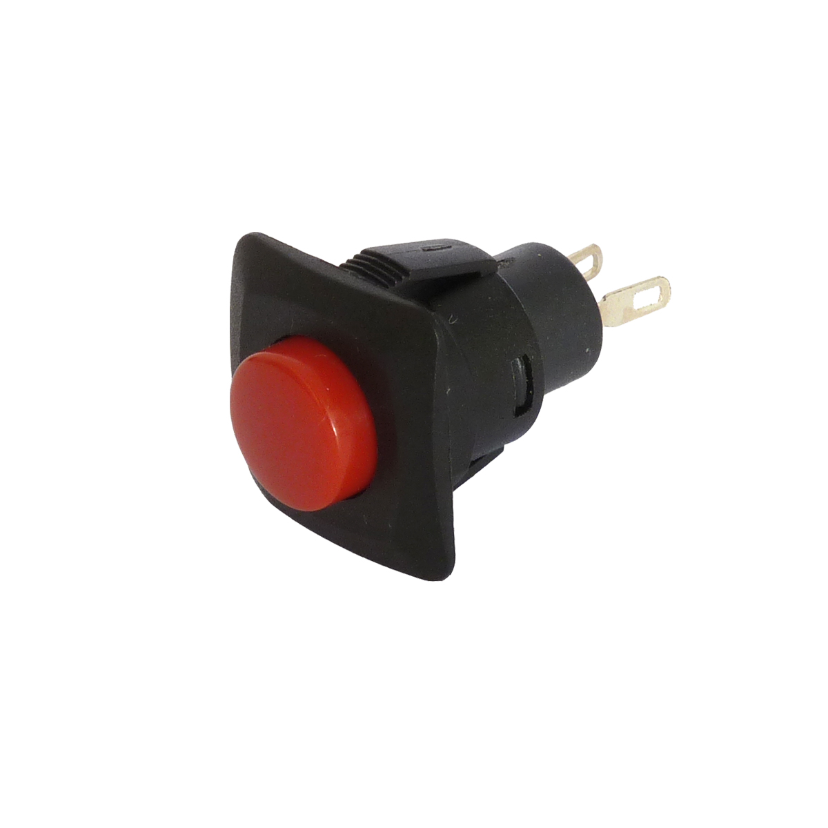 Bouton-poussoir, Momentané lumineux, LED Rouge, DPDT, 5 A, Montage panneau  220V