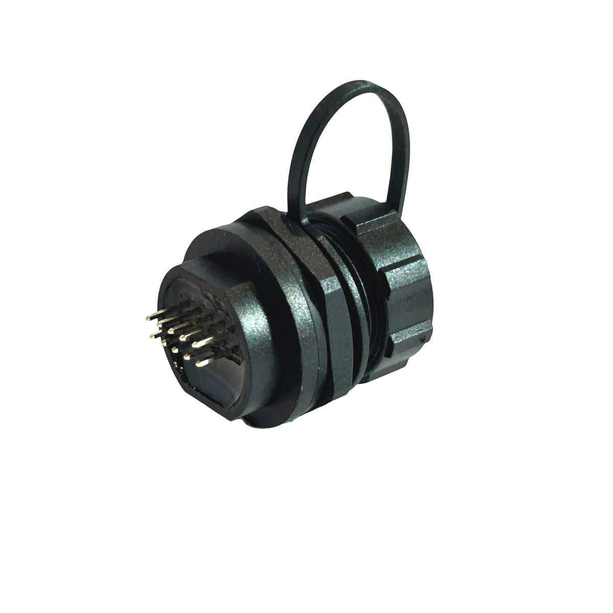 CS12-1-BACK