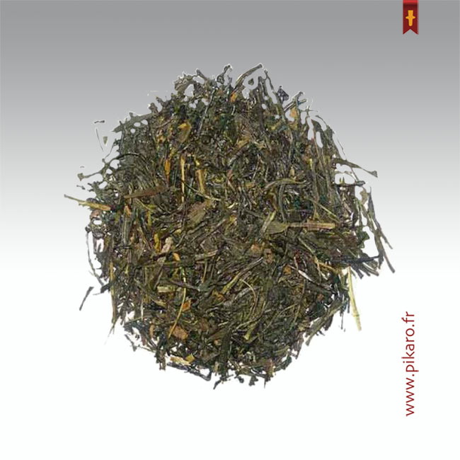 sencha-chiran-bio