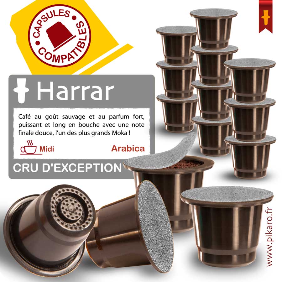 Capsules café Harrar