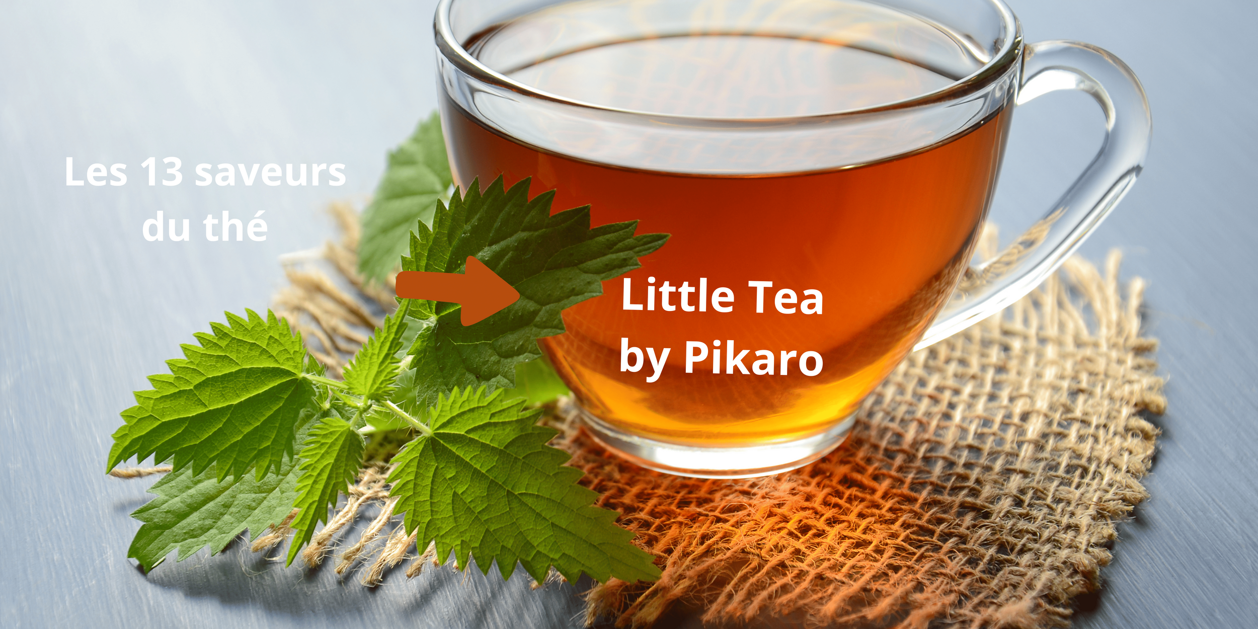 Little Tea, les 13 saveurs du thé by Pikaroenvenue