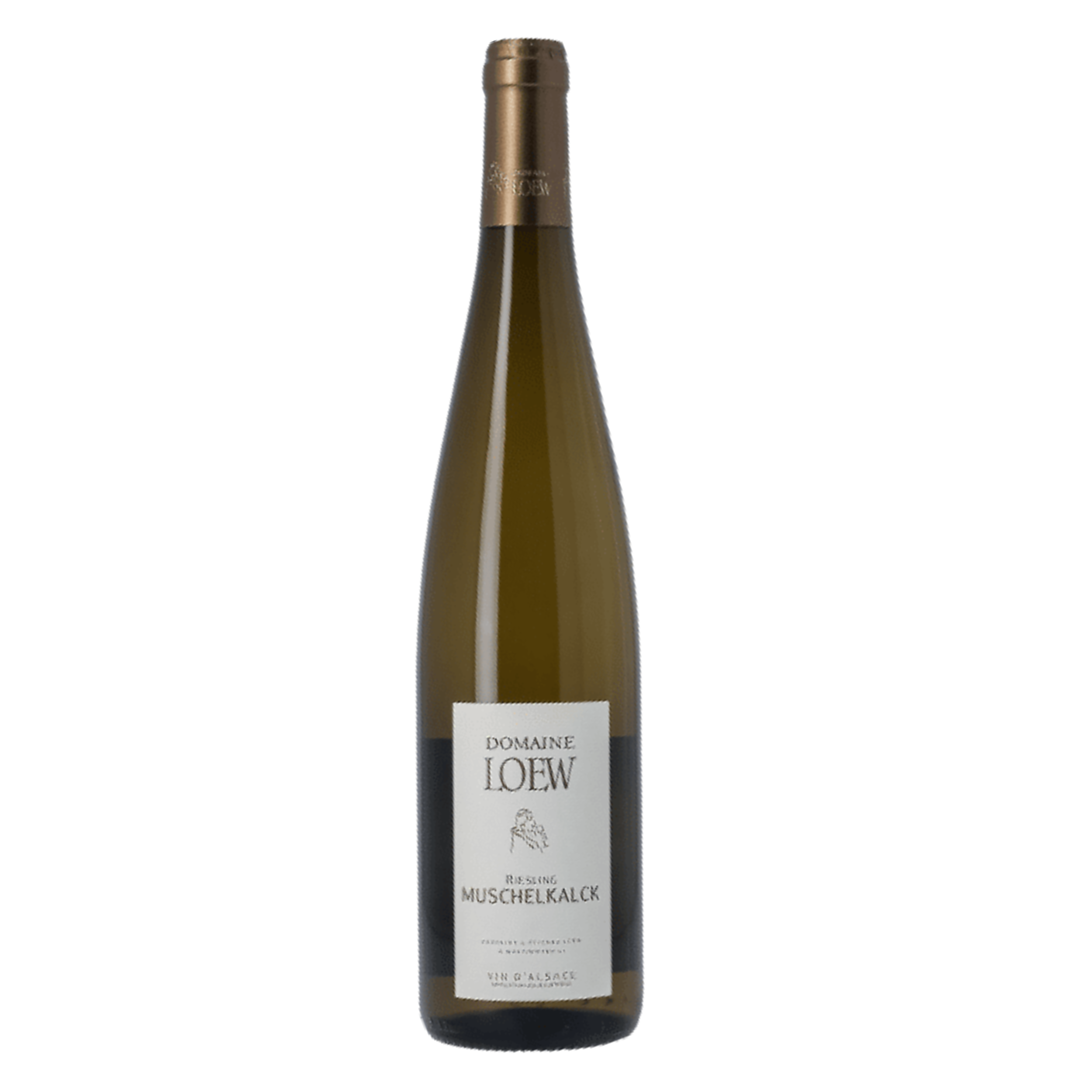 Riesling Muschelkalck - Domaine Loew - 2024 - BIO