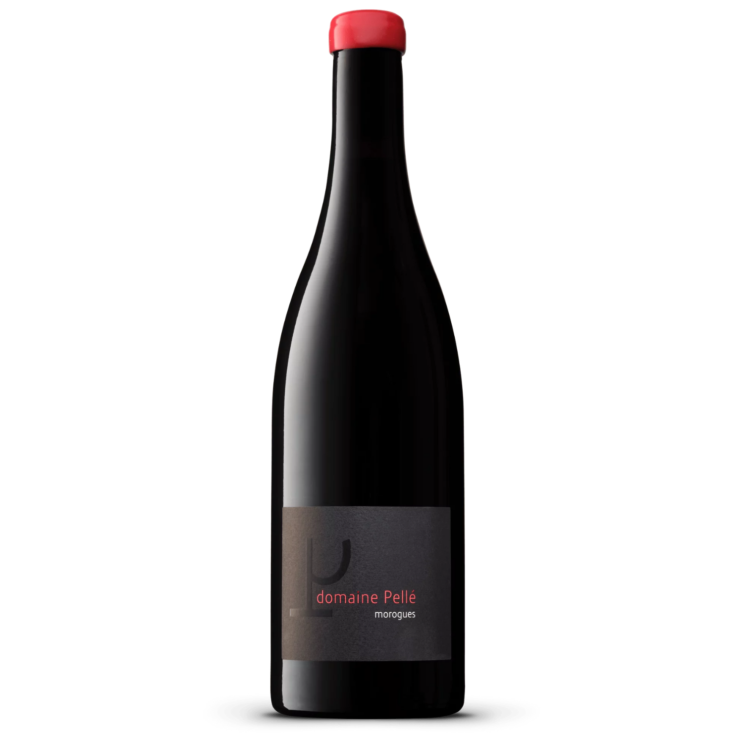 Menetou Salon - Morogues - Domaine Pellé - 2023 - BIO